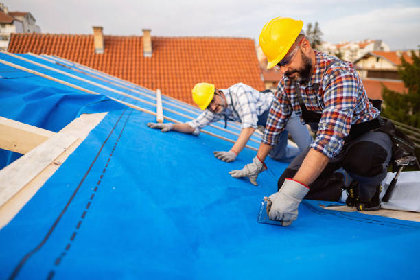 Best Metal Roofing Contractor  in Auburn, KY