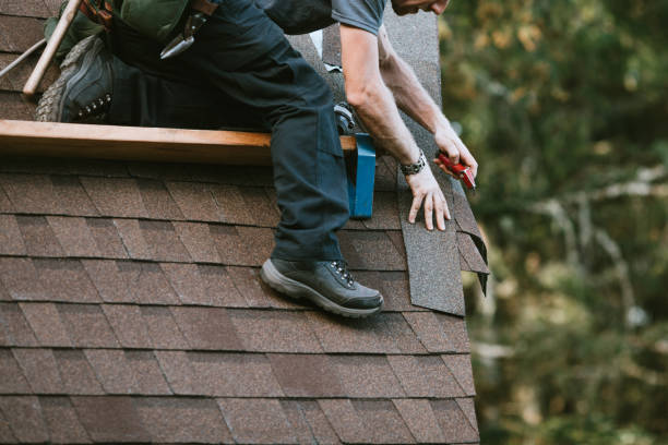 Best Roof Gutter Cleaning  in Auburn, KY